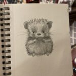 Porcupine Sketch